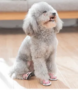 Vista dettagliata di un cane con sandali in tela traspirante a righe rosse e bianche per animali.