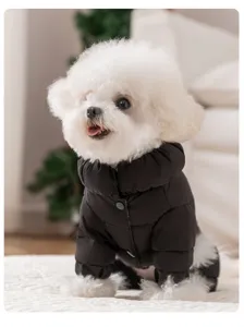 Close-up detail of a small dog wearing a black winter down jacket, cozy indoor setting.