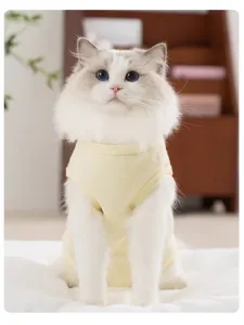 Close-up detail of cute cat recovery suit featuring soft breathable yellow fabric.