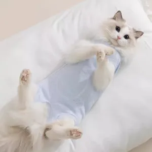 Breathable Cotton Pet Recovery Suit For Cats And Dogs Cute Cloud Embroidery Post Surgery Wear Spring Summer Pet Apparel