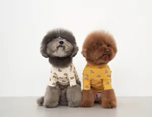 Gedetailleerd shot van huisdierkleding met schattig berenprintontwerp voor kleine honden.