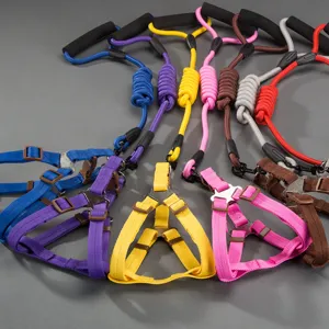 Nylon Hunde Hundegeschirr Und Leine Set Haustier Brustgurt Mit Schaumstoffgriff Für Kleine Mittlere Hunde Spazieren Training Haustierbedarf