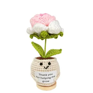 Handmade crochet potted flower cute knitted desk decor appreciation gift for teacher graduation