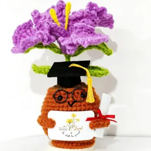 Handmade crochet graduation potted flower doll cute desktop ornament gift for students.