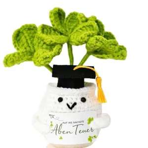 Handcrafted crochet clover potted doll graduation gift desktop decoration cute ornament