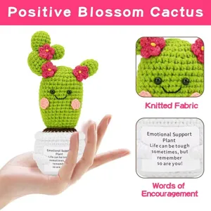 Emotional support crochet cactus doll potted plant with encouraging message card for gift.