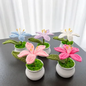 Handmade Knitted Lily Mars Orchid Potted Plant Crochet Artificial Flower Desktop Car Ornament Home Decor Gift