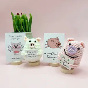 Handmade crochet positive flying pig doll ornament with card and wooden base cute gift