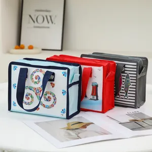 Piccola borsa non tessuta laminata con zip, design colorato per regali e cosmetici.