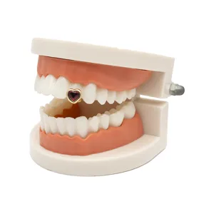Heart tooth gem detail showcasing sparkling red stone on dental model for hip hop fashion style.