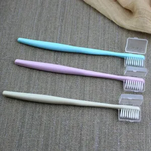 Macaron soft bristle toothbrush set with small head and protective cover for daily oral care.