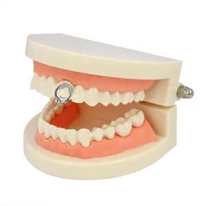 Primo piano dettagliato di un gioiello dentale in metallo cavo grillz su modello di esposizione.