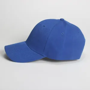 Blaues Baseballcap Seitendetail, Acryl Sonnenschutz Mütze, einfarbige Schirmmütze für Outdoor.