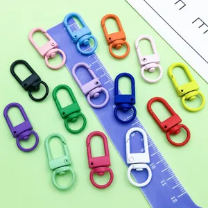Bunter Legierung Karabinerhaken Schlüsselanhänger DIY Schmuck Zubehör Detailansicht Ansicht
