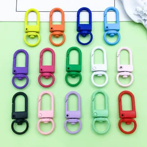 Bunte Legierung ovale Schlüsselanhänger Haken Detailansicht für DIY Schmuck Zubehör.