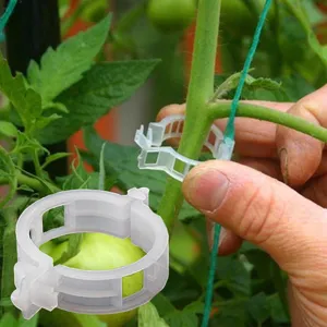 Clips de Plantes en Plastique Clips de Support de Vigne de Jardin Attache Boucle Anneau Blanc Transparent Pour Légumes Et Tomates