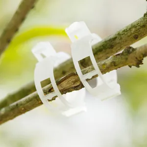 Clips de plantes en plastique durables pour fixer solidement les vignes et fleurs du jardin.