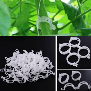 Clips de support de plantes en plastique pour vignes, tomates et melons fixation et tuteurage.