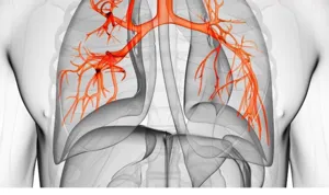 Anatomisches 3D-Diagramm des menschlichen Atemwegs für Schnarchschutz und Mundatmungskorrektur.