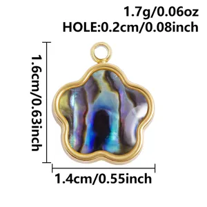 Stainless steel abalone shell cloud pendant detail view showing dimensions and weight specs.