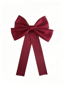 Nœud papillon bordeaux vue de détail, bel accessoire de chemise élégant pour femmes.