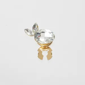 Crystal rhinestone collar clip detail shot, elegant gold tone metal accessory for shirts and scarves.