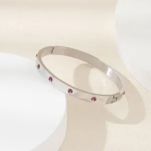 Bracciale rigido in acciaio inossidabile argentato con luminose pietre di cristallo rosa.