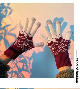 Winter warm knitted touch screen gloves for women with cute nordic pattern and fleece lining.