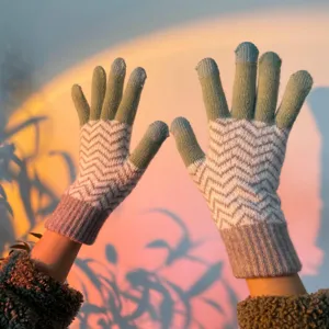 Women Winter Warm Touch Screen Gloves Acrylic Jacquard Contrast Color Thermal Gloves Fashion Knitted Cold Weather Gloves