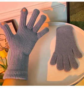 Guanti invernali lavorati a maglia touchscreen per donna, lunghi guanti in morbida lana.