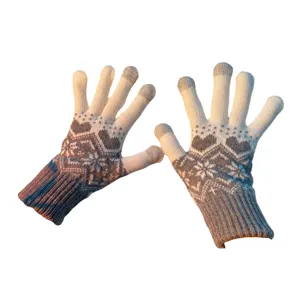 Cozy winter knit touchscreen gloves for women, warm fleece-lined five-finger thermal mittens.