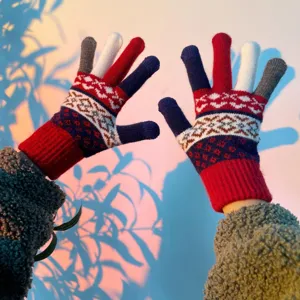 Women Winter Warm Knitted Gloves Touchscreen Acrylic Jacquard Retro Nordic Style Outdoor Cycling Daily Wear Gloves