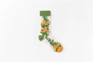 Sheer mesh detail showing intricate 3d floral embroidery, green cuff and colorful toe accents.