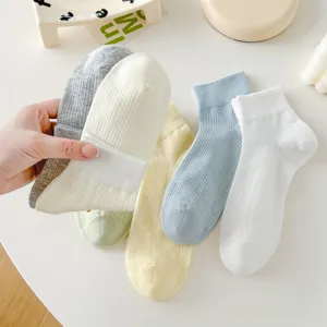 Comfortable ribbed cotton short socks in assorted pastel colors for women spring summer daily.
