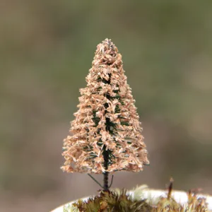 Miniatur Modellbaum fuer DIY Landschaftsbau Sukkulenten Garten Ornament Dekoration Detail