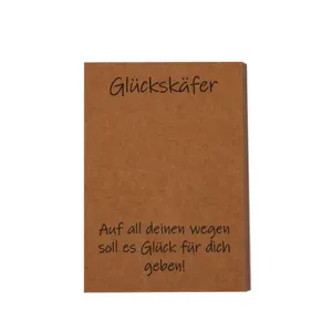 Biglietto di auguri in carta kraft tema coccinella biglietto regalo confezione gioielli