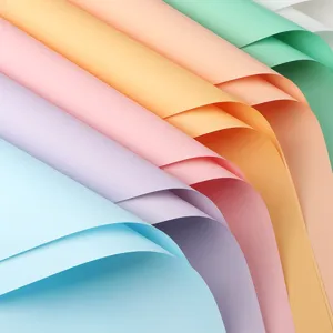 Papier d'Emballage de Fleurs en Papier Oya Couleur Unie Matériel Coréen Imperméable Macaron Fournitures de Papier Cadeau