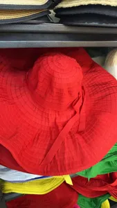 Gedetailleerd overzicht van een helderrode zonnehoed met brede rand voor de zomer.