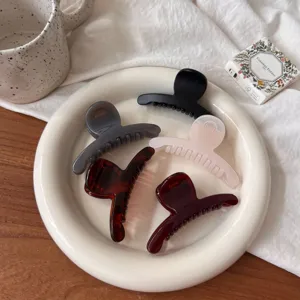 Pince à Cheveux Élégante Française Couleur Unie Papillon Petite Pince Crabe en Résine Minimaliste Accessoires Femme