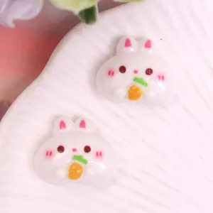 Cute cartoon animal resin DIY charms, rabbit holding carrot for crafts phone case.