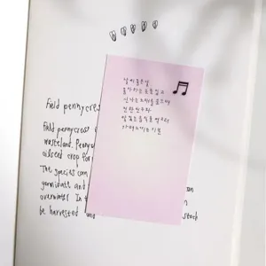 Joli autocollant rose esthétique en PVC avec texte coréen et notes pour journal intime.
