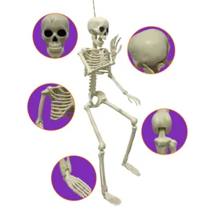 Vues détaillées du modèle de squelette en plastique d'Halloween avec articulations