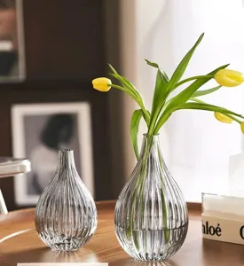 Nordic transparent ribbed glass vase set, modern decorative hydroponic flower container.