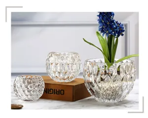 Transparante glazen hydroponische vaas set, prachtige getextureerde bolvormige bloempotten.