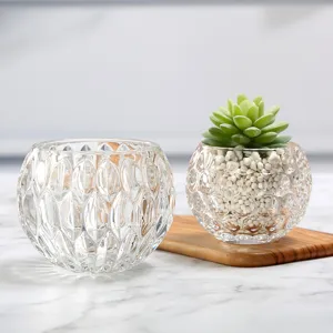 Transparante glazen vaas hydrocultuur container plant pot vetplant tafel decoratie