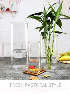 Transparante glazen vaas set, cilindrisch hoog ontwerp voor woonkamer bloemdecoratie.