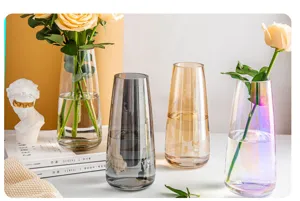 Nordisch minimalistische Glasvase transparente kreative Blumenvase Wohnkultur Wohnzimmer.