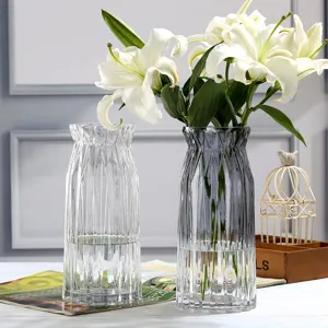 Modern Minimalist Transparent Gradient Glass Flower Vase Vertical Striped Hydroponic Plant Pot Living Room Decor