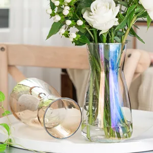 Nordic Minimalist Transparent Glass Vase Creative Colorful Electroplated Hydroponic Flower Desktop Decoration Home Decor
