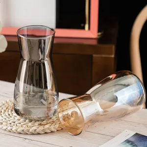 Nordic minimalist transparent glass vase for fresh flower arrangement desktop home decor.